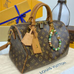 Louis Vuitton Speedy Soft 30 Boho N87212 Brown